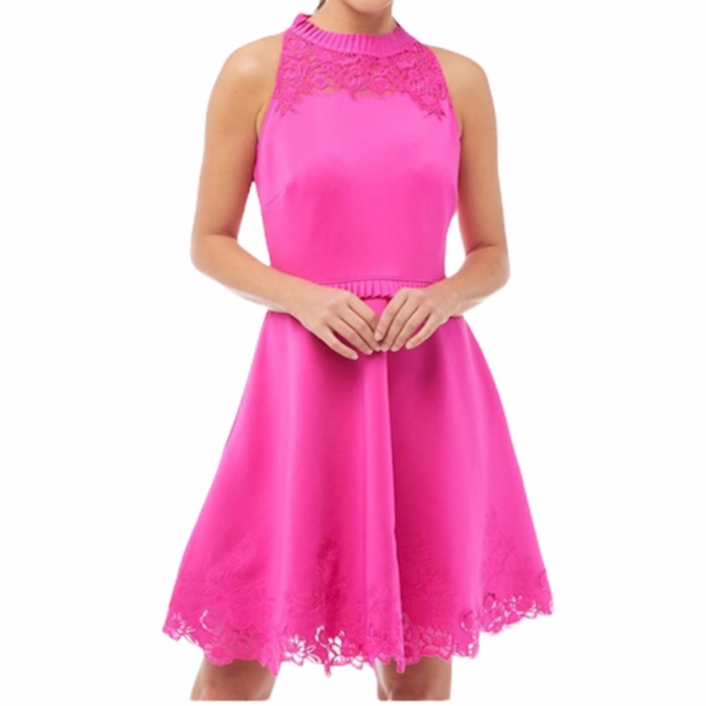 Ted Baker London Zaffton Fit & Flare Skater Dress